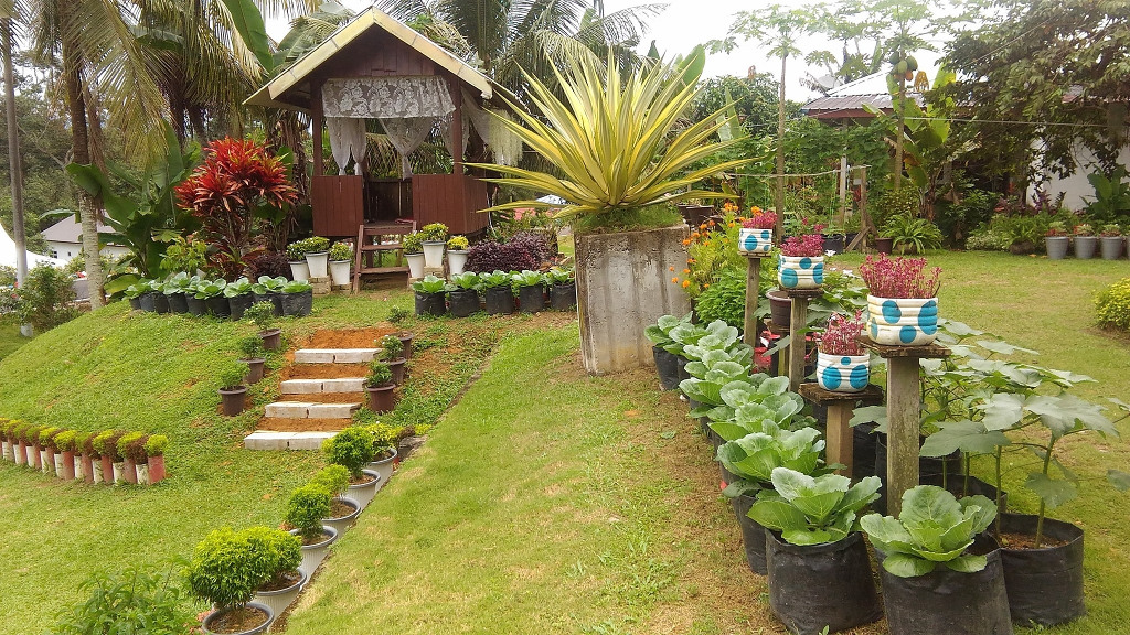 Berkebun, Suri Rumah Jana 2 Ribu Sehari